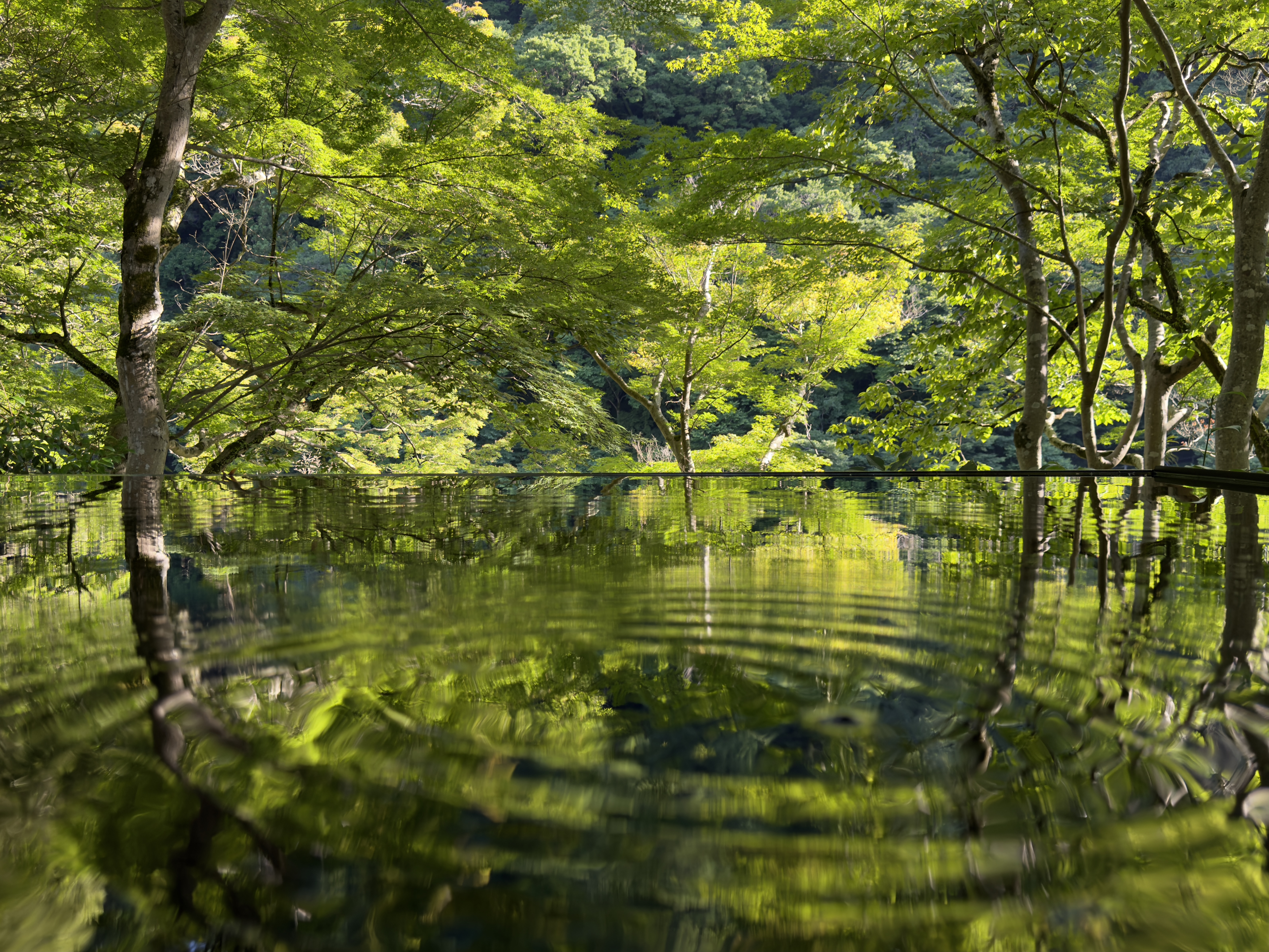 Water Mirror 1